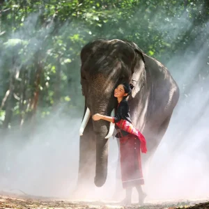 Thailand-Img-2
